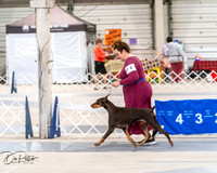 20250301-DSC03900