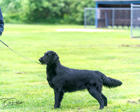 20250627-DSC06895