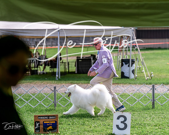 20240815-DSC07734