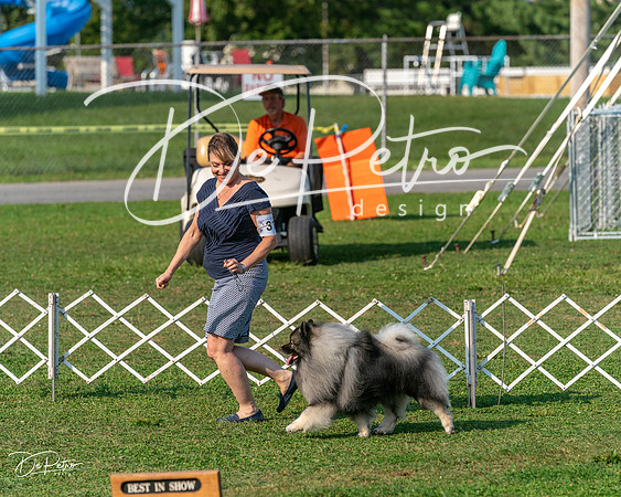 20240913-DSC00375