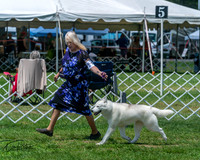 20250629-DSC09335