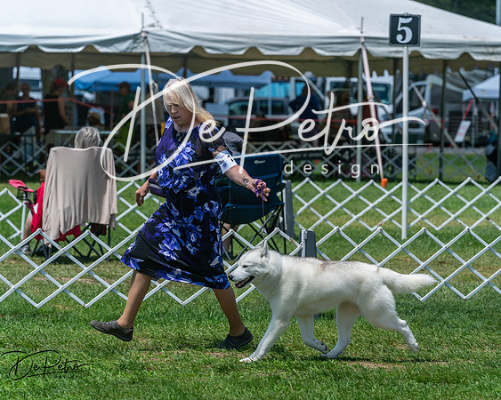20250629-DSC09335