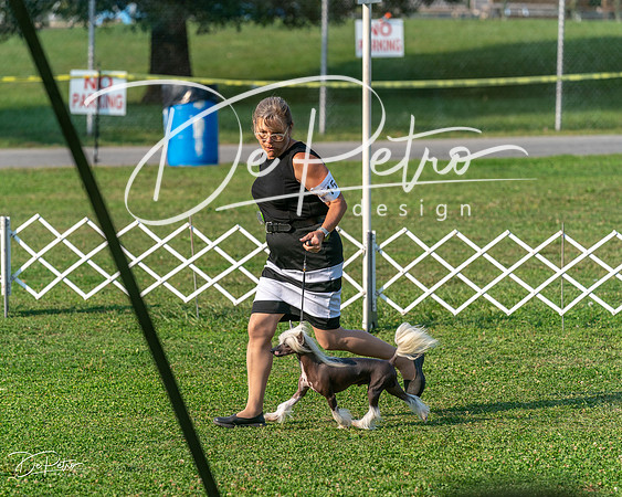 20240913-DSC00445