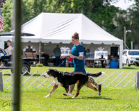 20240630-DSC02888