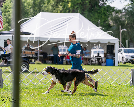 20240630-DSC02888