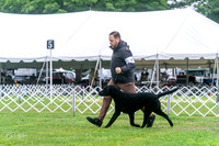 20250626-DSC02108