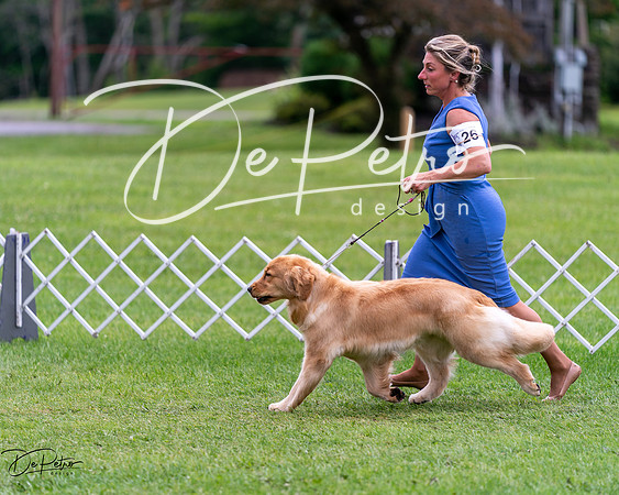20240630-DSC00750