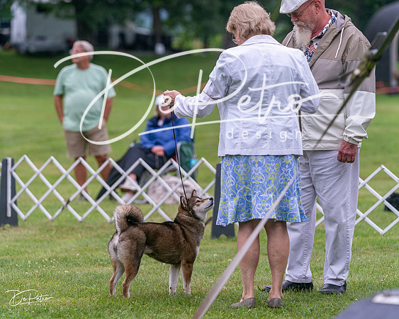 20250626-DSC03758