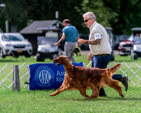 20240630-DSC03888