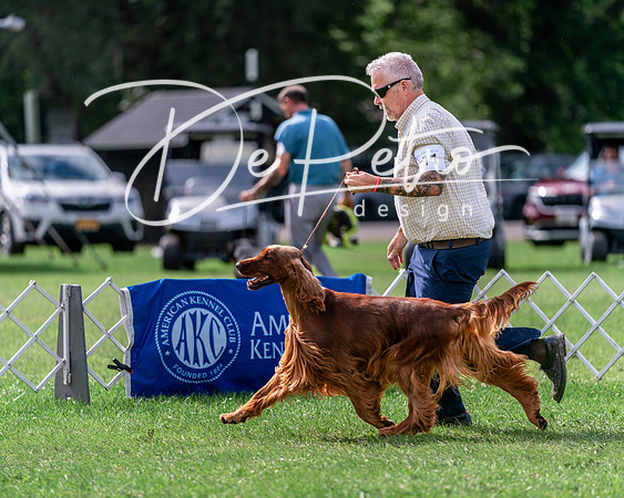 20240630-DSC03888