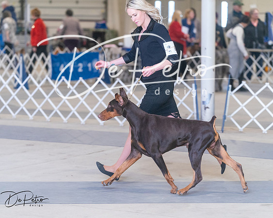 20250302-DSC07205