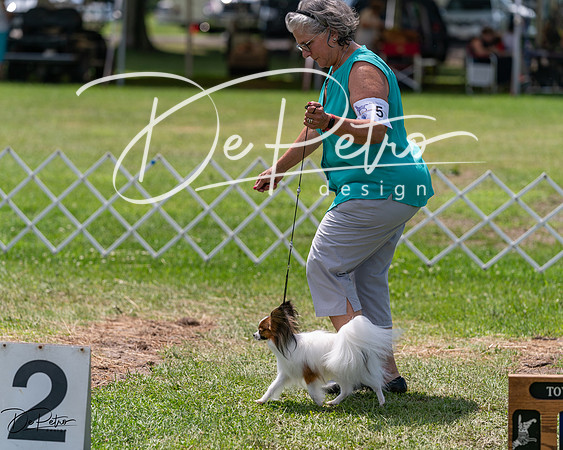 20240630-DSC01634