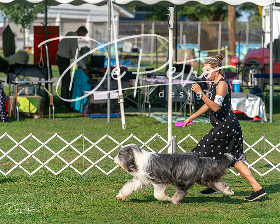 20240913-DSC00177