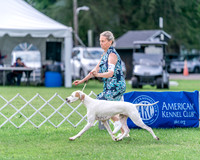 20240630-DSC03922