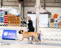 20250301-DSC03931