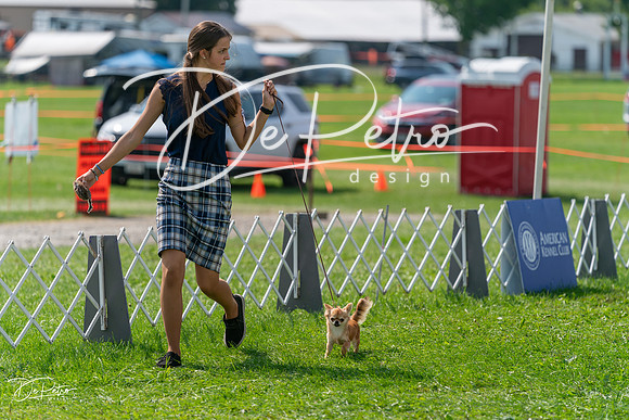 20240816-DSC00478