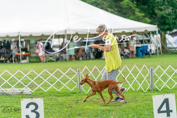 20240630-DSC02261