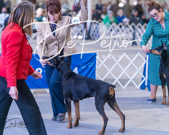 20250302-DSC06776