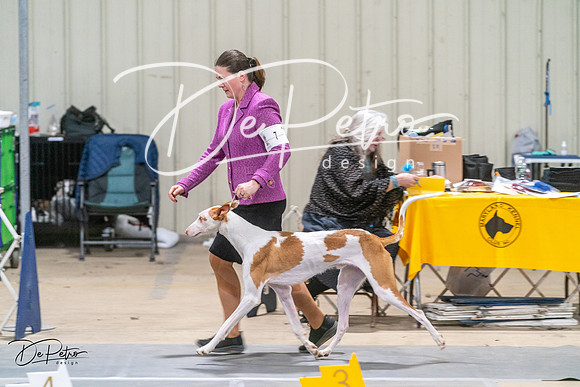 20240218-DSC01981