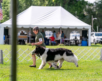 20240630-DSC02908