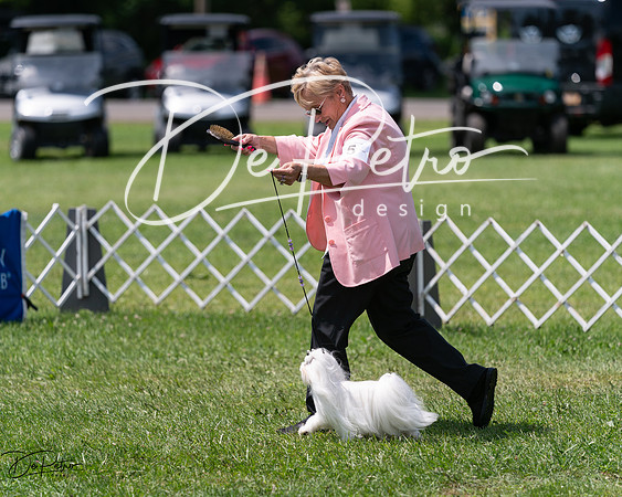 20240630-DSC01644