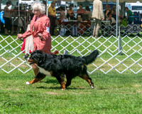 20250629-DSC09285