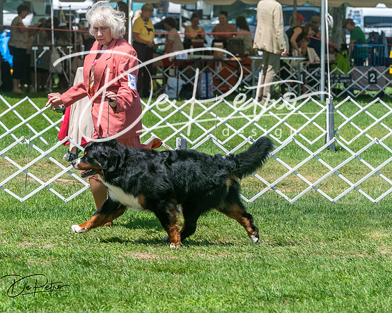 20250629-DSC09285
