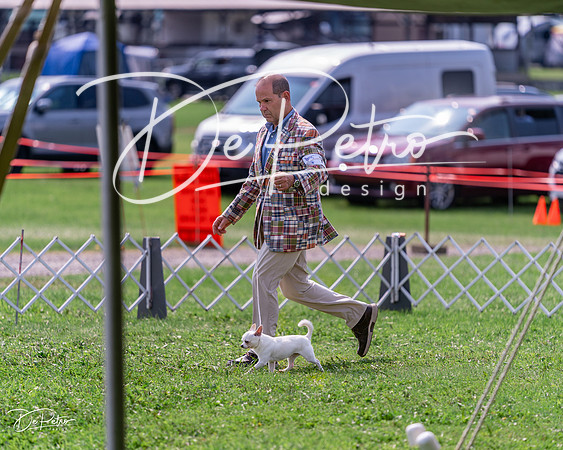 20240815-DSC06602