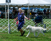 20250629-DSC09339