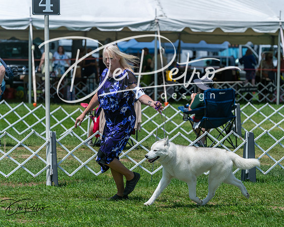 20250629-DSC09339