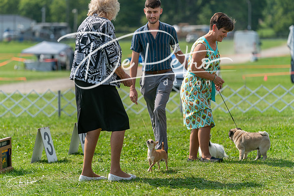 20240816-DSC00484