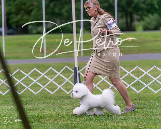 20250626-DSC03724