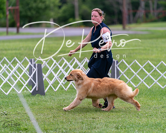20240630-DSC00799