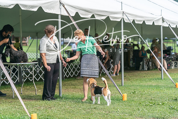 20240630-DSC05441