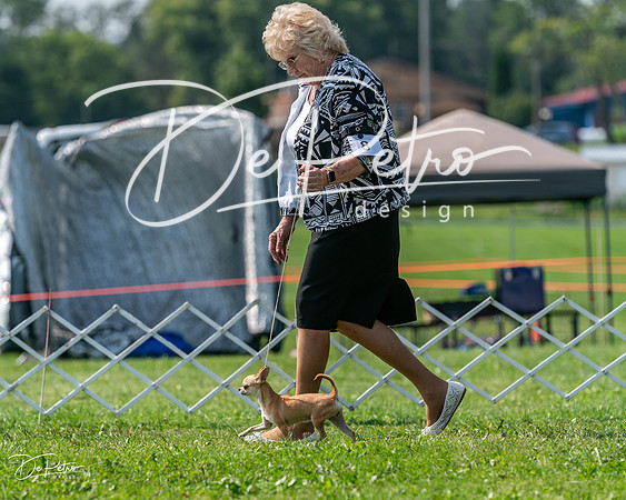 20240816-DSC01059