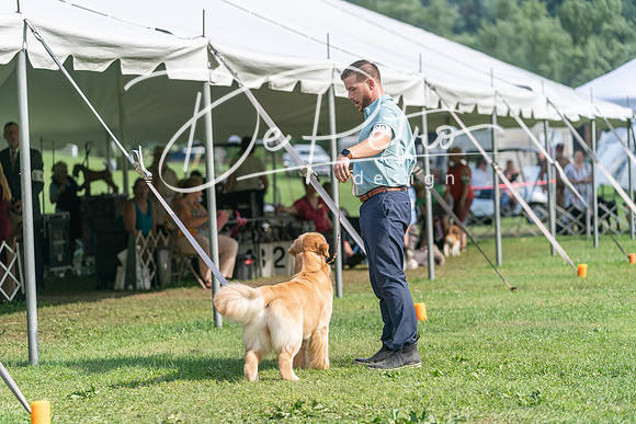 20240630-DSC05314