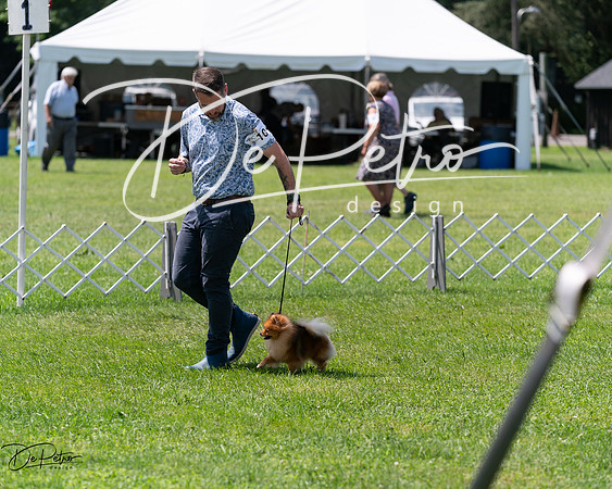 20240630-DSC01545