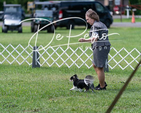 20240630-DSC01559