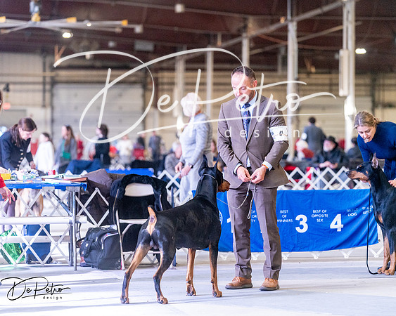20250302-DSC07111