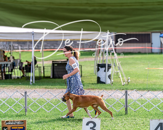 20240815-DSC07679