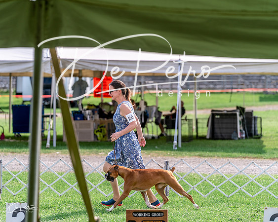 20240815-DSC07689