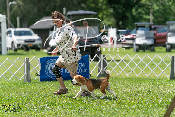 20240630-DSC02302