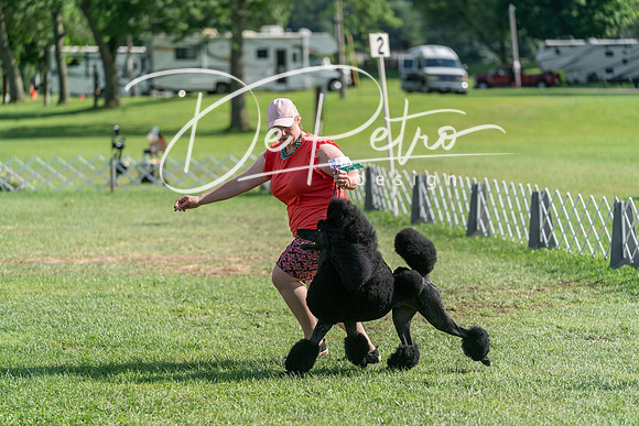 20240630-DSC05168
