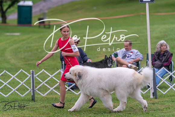 20250627-DSC05966