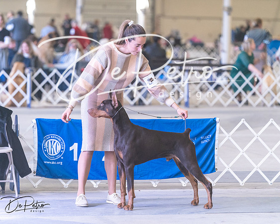 20250302-DSC07153