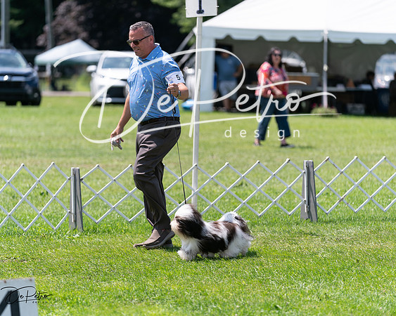 20240630-DSC01534
