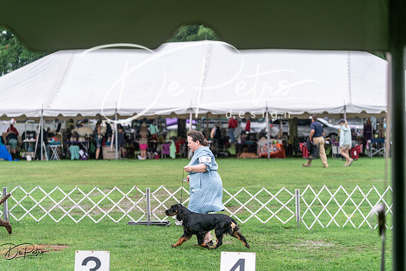 20240629-DSC06928