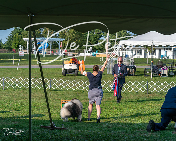 20240913-DSC00500
