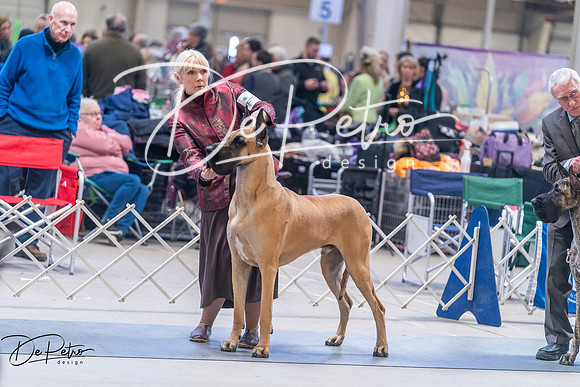 20250302-DSC06063