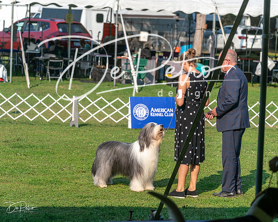 20240913-DSC00169